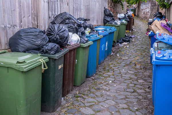 Wheelie Bin Fines: Explained