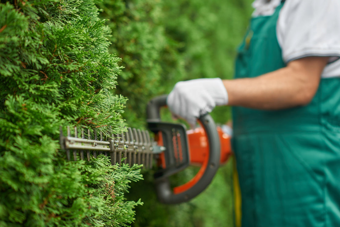 Why you need a garden bin