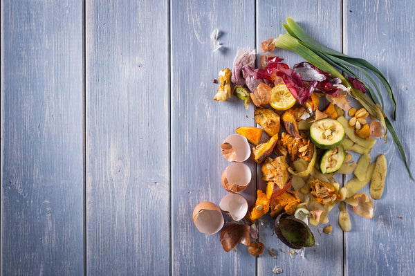 What you can put in your food waste bin