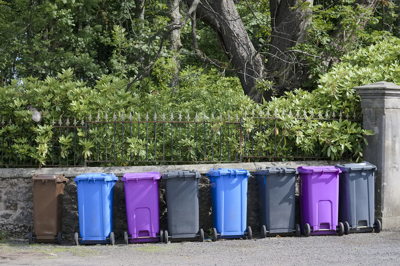 What Is A Purple Wheelie Bin For